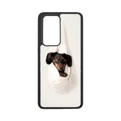 Dachshund în sac - Husă Alte 