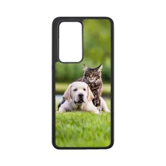 Drăgălășenii - Husă Alte 