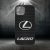 Cu nume unice - Lexus logo - Husă iPhone 